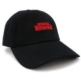 Collectible -- Netflix Stranger Things Hat (other)