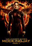Hunger Games: Mockingjay Part 1, The (DVD)
