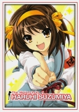 Melancholy of Haruhi Suzumiya: Complete Collection, The (DVD)