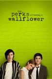 Perks of being a wallflower, The (UltraViolet)