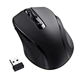 Wireless Mouse (PC)
