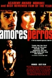 Amores Perros (DVD)