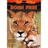 Born Free (1970) (DVD)